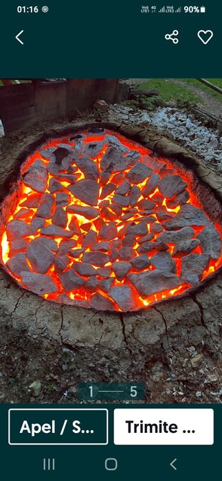 Var bulgar nestins pentru dezinfectie fantani zugrăveli tencuieli