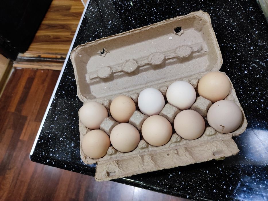 Флейки для яиц (fleyka)