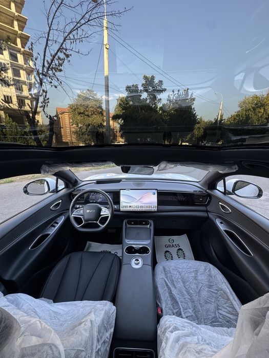 Byd sealion 06 full 605 zapasxodi