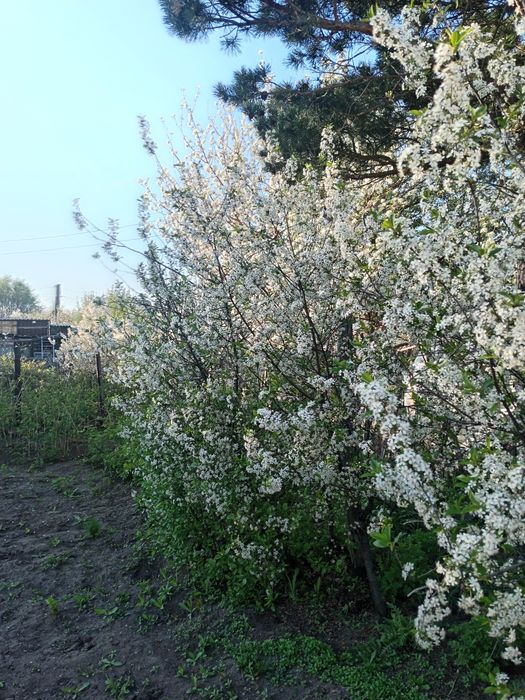 Продаётся участок с домом