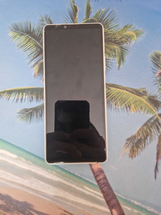 Sony Xperia 10 III - Defect -