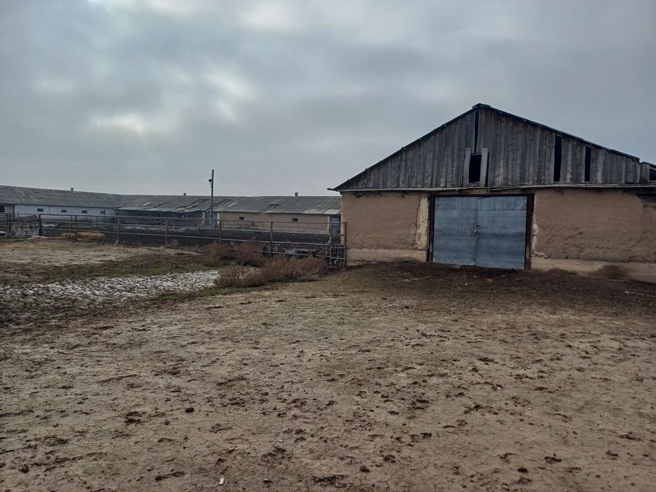 Продам крестьянское хозяйство.