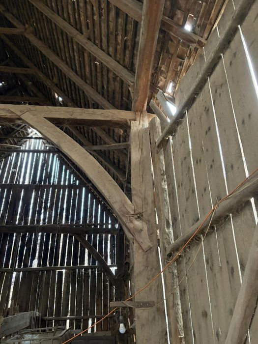 Sură din stejar masiv 1886