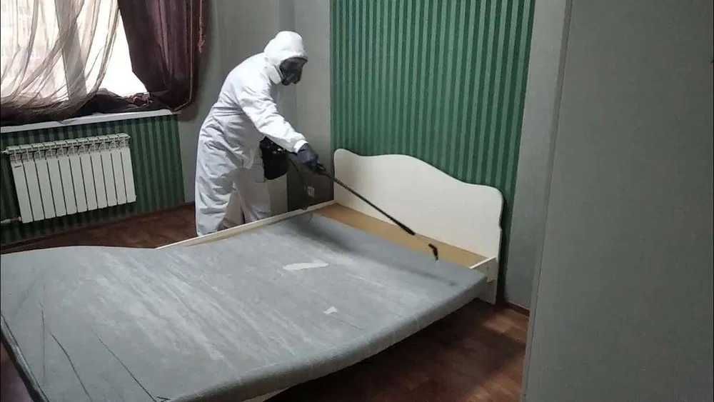 Дезинфекция dezinfeksiya уничтожение клопов дезинфекция от клопов 100%