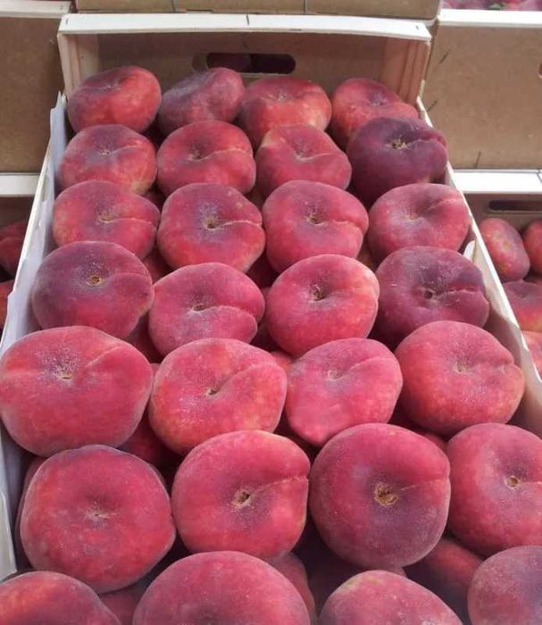 Эртаки анжир ва туксиз кизил Фантазия шафтоли кучатлари сотувда.