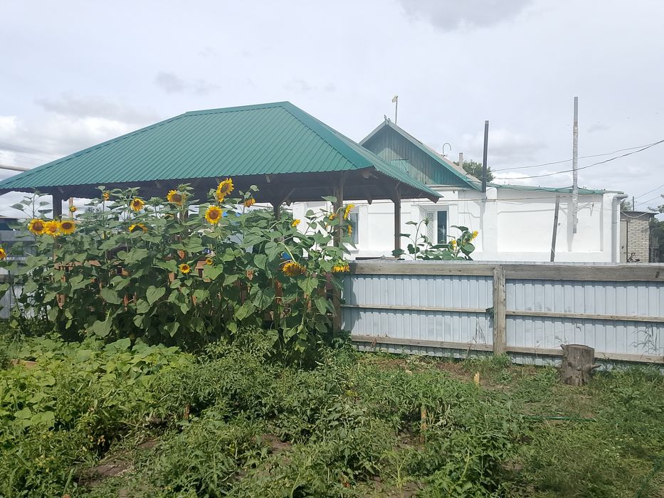 Продам дом поселке Алтын дала