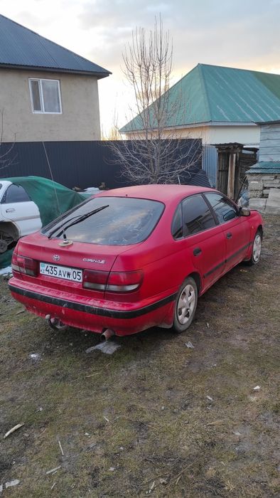 Таета карина е 1993