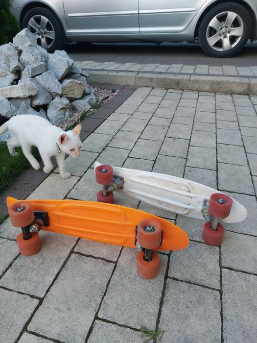 Vând Penyboard - uri