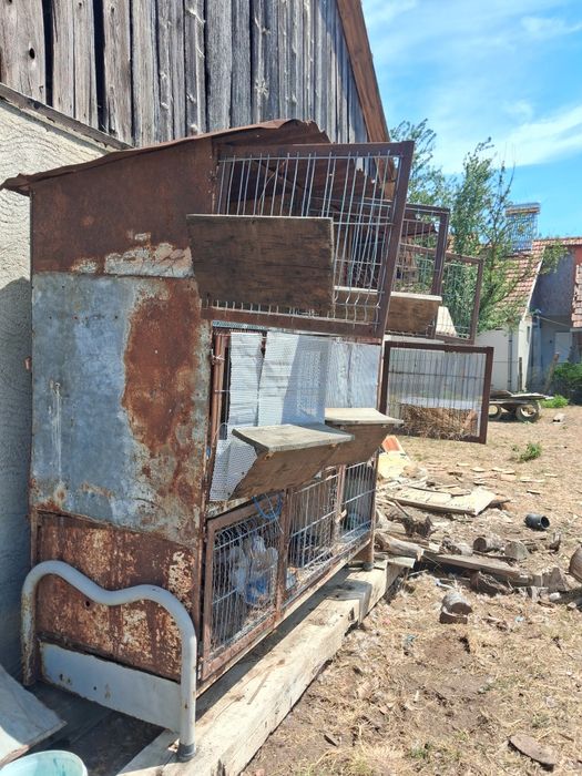Disponibil cușcă iepuri