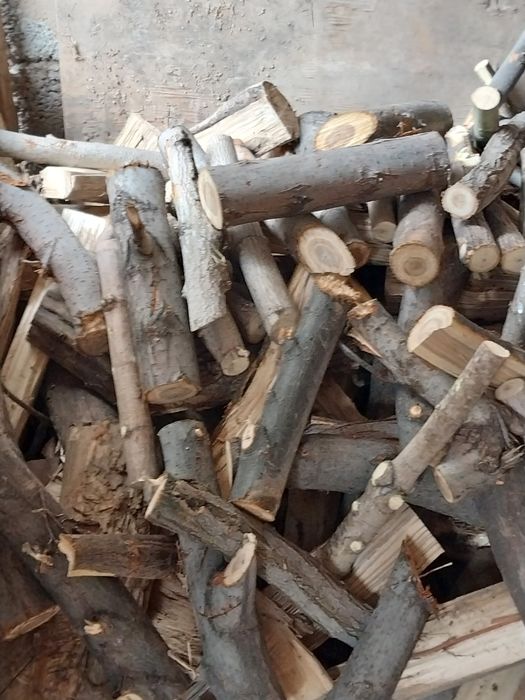 құрғақ отын жеміс ағашы