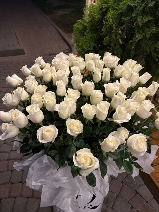 Белые розы 35000
