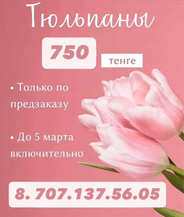Свежие крупные тюльпаны с 5 марта в продаже