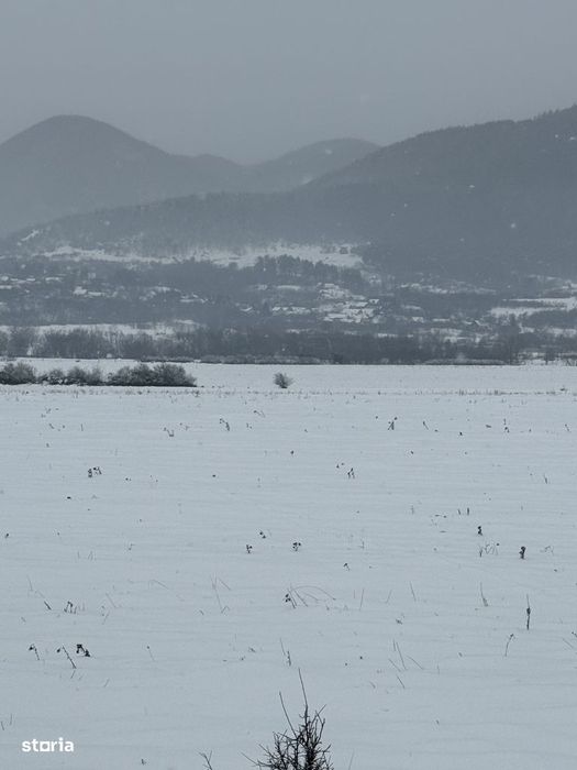 Teren intravilan 10.000mp