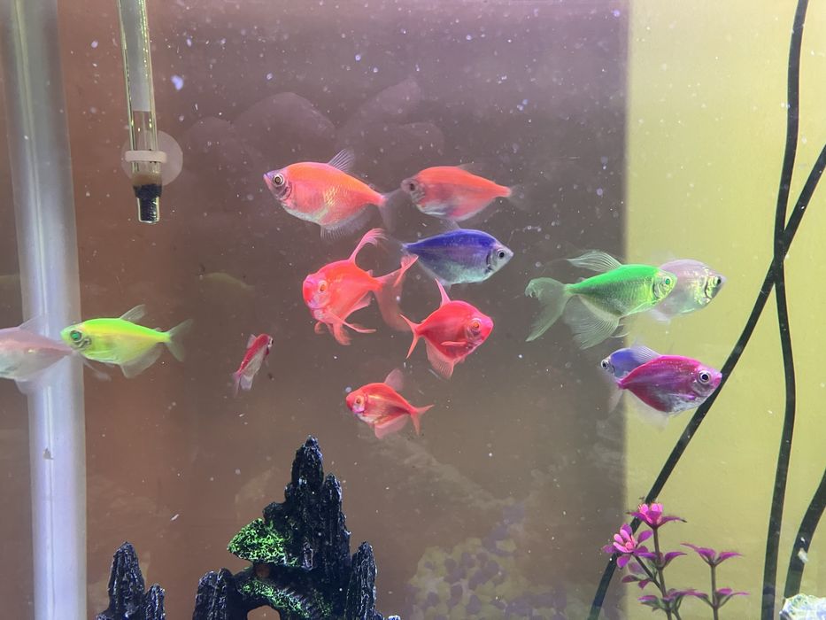 Аквариум RS Electrical 420 40л