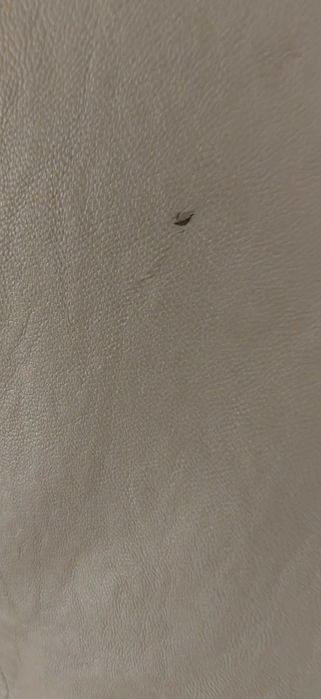 Guess оригинално кожено яке
