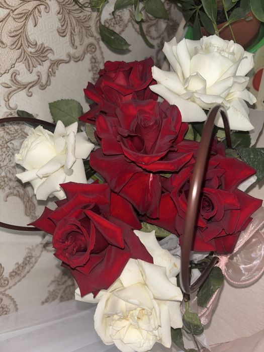 Свежие розы.