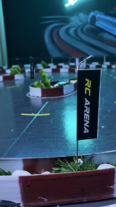 Игровая RC ARENA