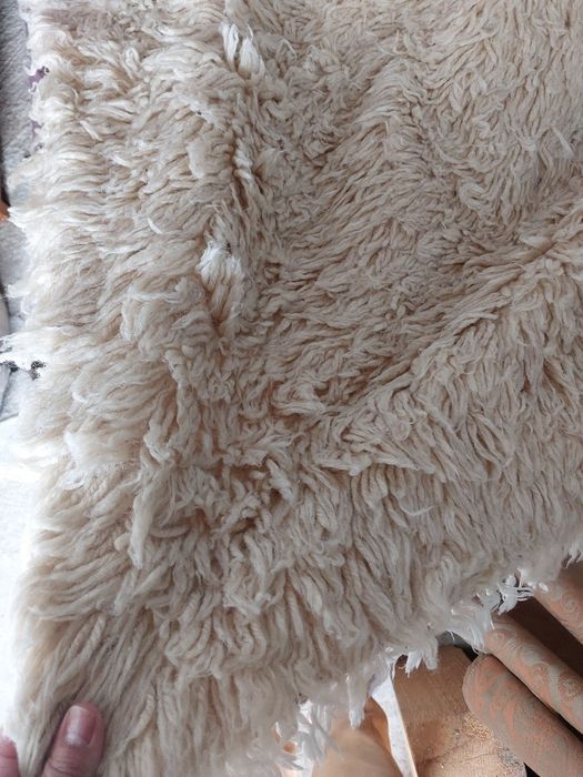 Продавам китеници