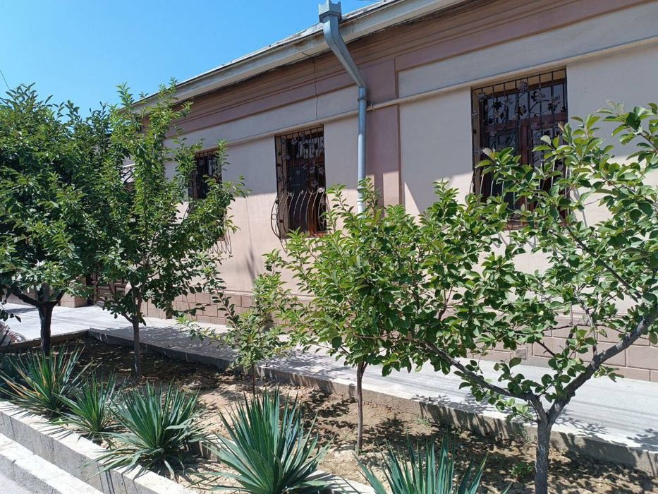 ШОФАЙЗ 4.2 сотух 5 хона