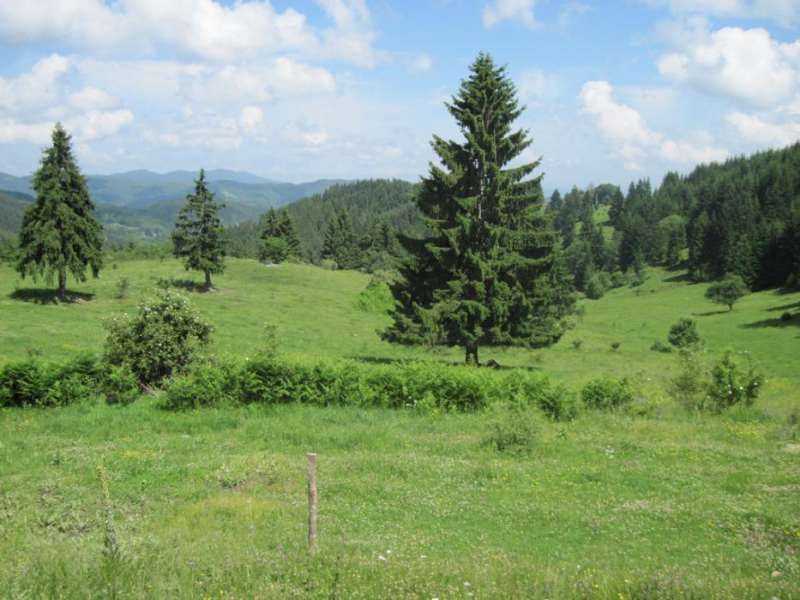 Продава се Къща в к.к. Пампорово - 2317 кв.м за 56 €/кв.м - Снимка #10