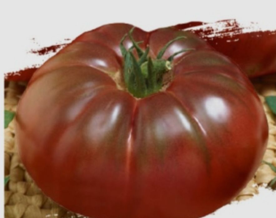 Рассада овощей и цветов