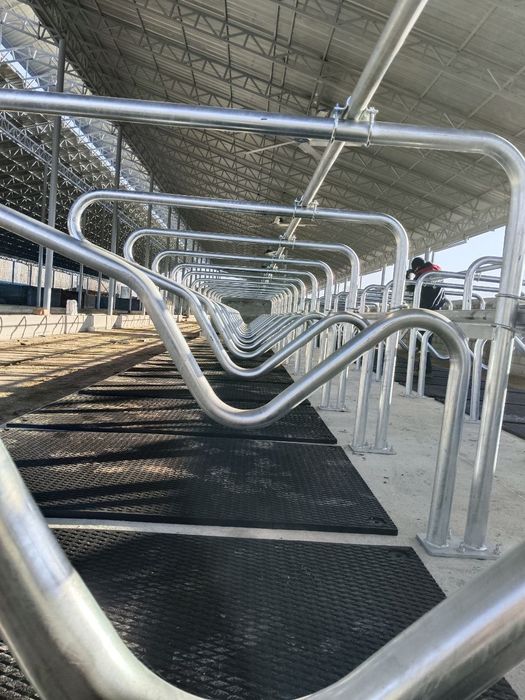 Mat mollar va otlar uchun коврик для коров и лошадей