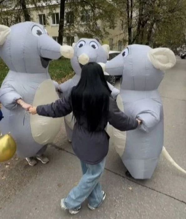 Надувные костюмы крыс