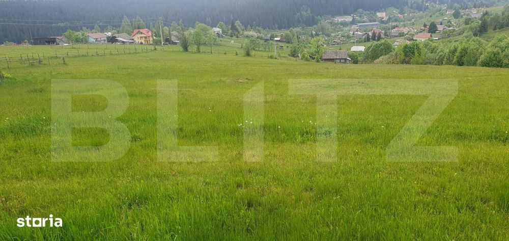 Teren intravilan, 9964 mp, zona Vatra Dornei