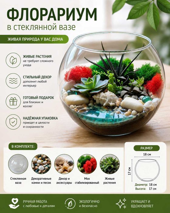 Флорариум, суккуленты