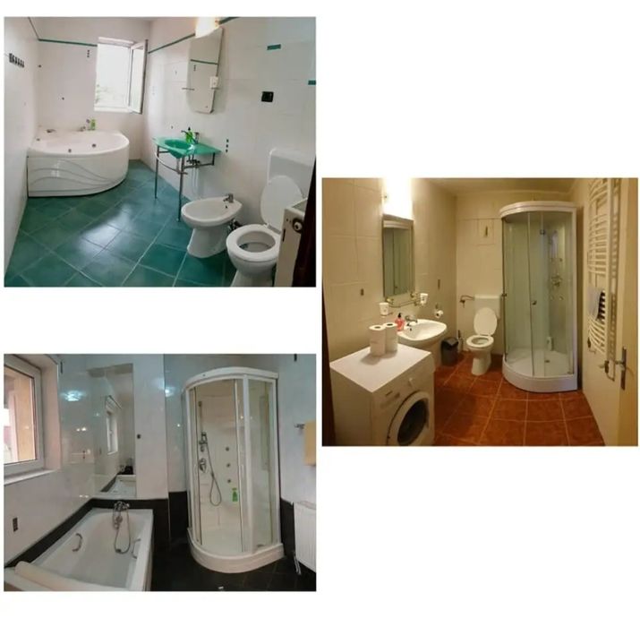 Vila de închiriat Arad Intim