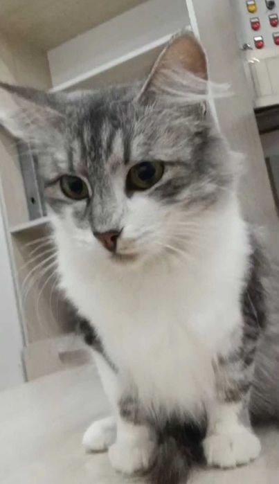 Удивительно добрая девочка ищет дом