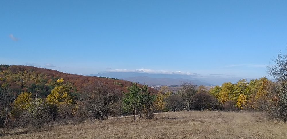 Продава се Парцел в с. Мечковци, Област София-област - 1248 кв.м за 6 €/кв.м - Снимка #6