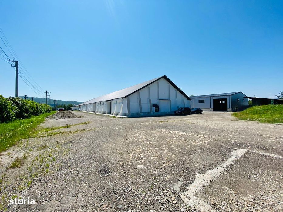 Hala depozitare, productie, showroom, de la 600mp la 1200mp, Tg. Neamt