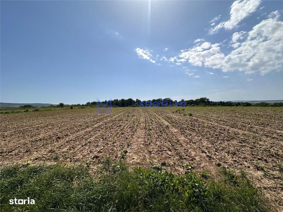 Teren langa padure pentru casa, Cercu, Barnova, de la 500mp la 4000mp