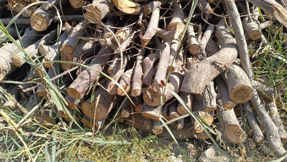 Утин сотилади келишилган нархда