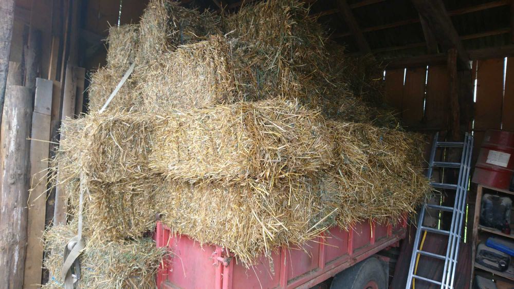 Vand baloti de fan, lucerna si otava