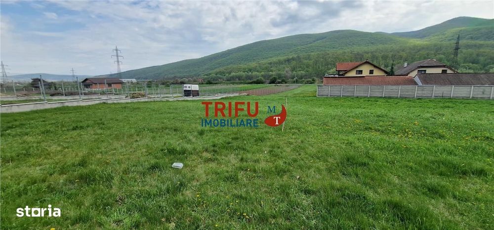 Teren de vis la liziera pădurii – liniște, natură și aer curat!