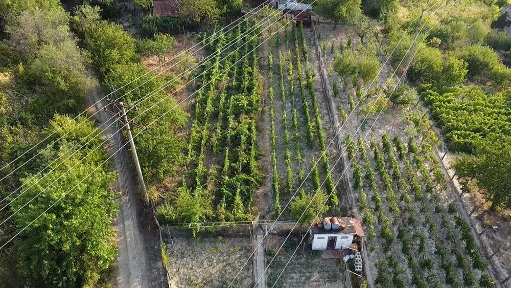 Продава се Къща в Силистра, Запад - 700 кв.м за 33 €/кв.м - Снимка #12