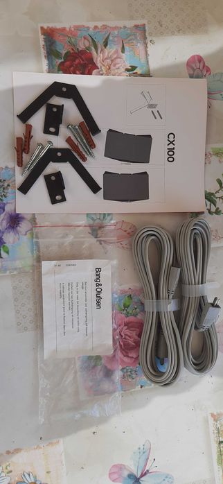 Boxe Bang&Olufsen CX 100 cu suport de prindere