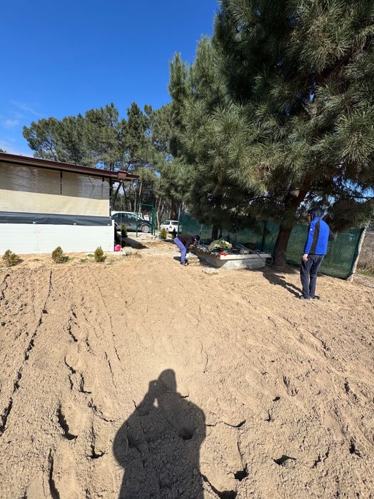 Градинарски услуги Косене Кастрене Почистване на парцели Озеленяване