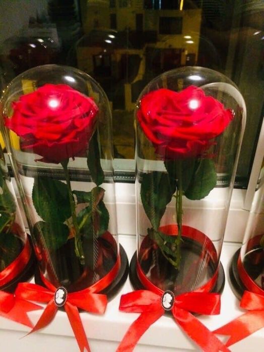 Trandafir criogenat cadou