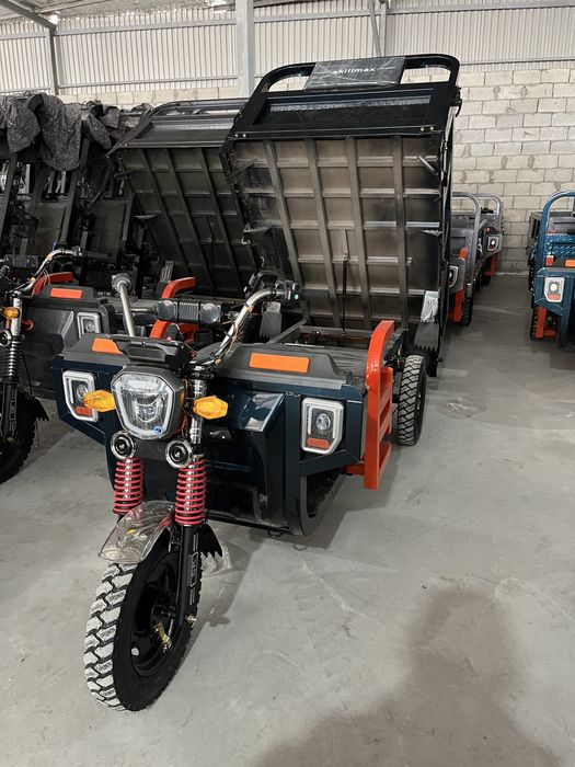 Муравей трицикл skilmax электровелик