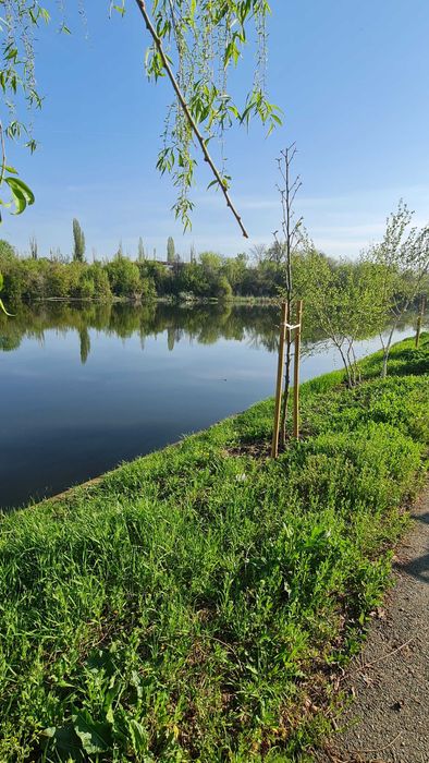 Teren intravilan 3250mp vedere la Lacul Colentina  oportunitate rara