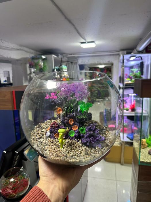 Круглый аквариум для рыбки