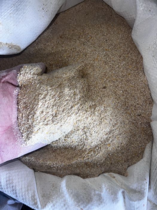 Бидай Арпа Жүгері Кебек