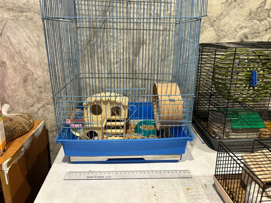 Хомяк клетка с хомяком