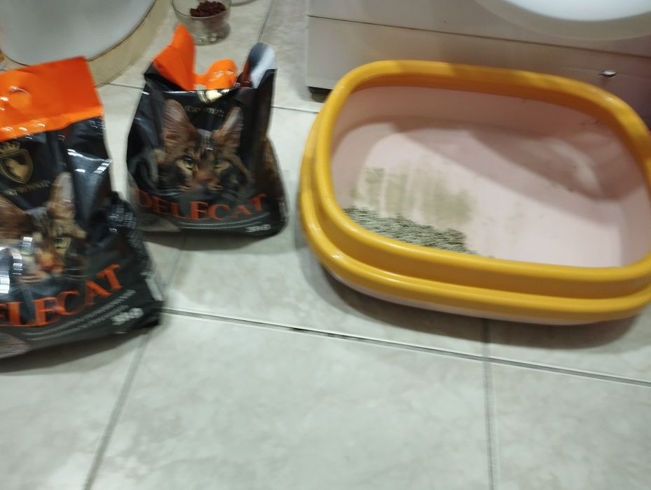 кошячий горшок ..