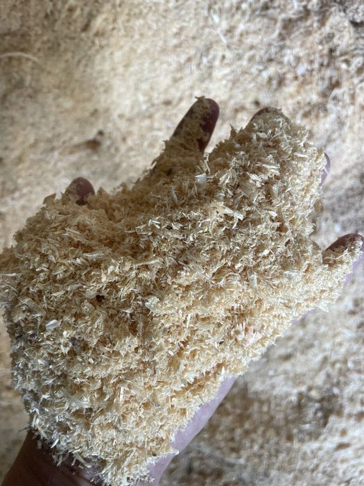 Опилки сухой сосна