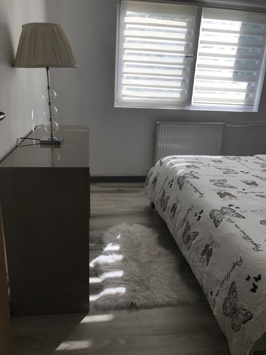 Inchiriez  ap. 3 cam Decebal, et.1