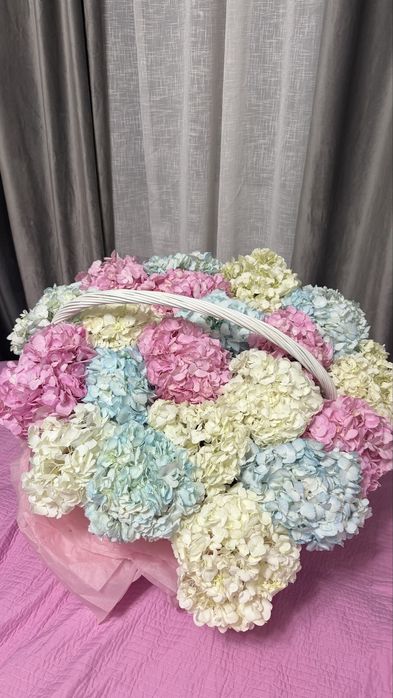 Гортензия цветы белые розовые